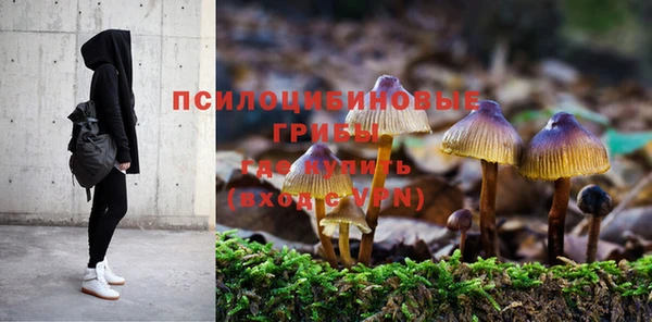 ешки Абинск