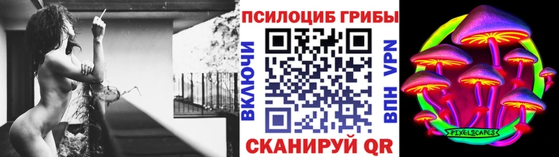 Галлюциногенные грибы Psilocybine cubensis  Усмань 
